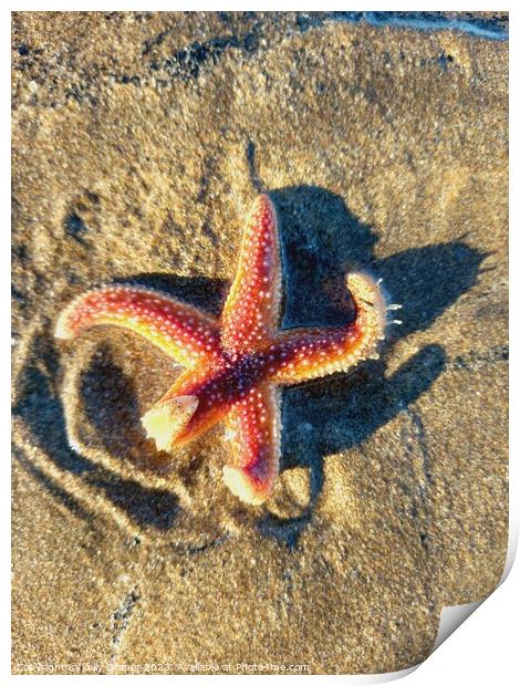 Starfish Print by kelly Draper