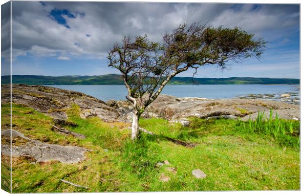 Isle of Mull Canvas Print by Steve Smith