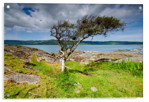 Isle of Mull Acrylic by Steve Smith