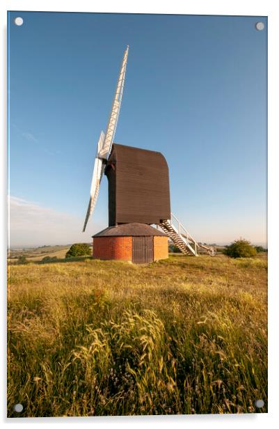 Majestic Brill Windmill Acrylic by Steve Smith