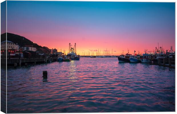 Harbour Lights Canvas Print by Steve Smith
