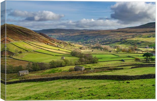 Iconic Swaledale Canvas Print by Steve Smith
