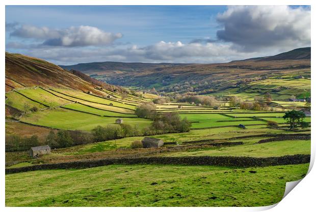 Iconic Swaledale Print by Steve Smith