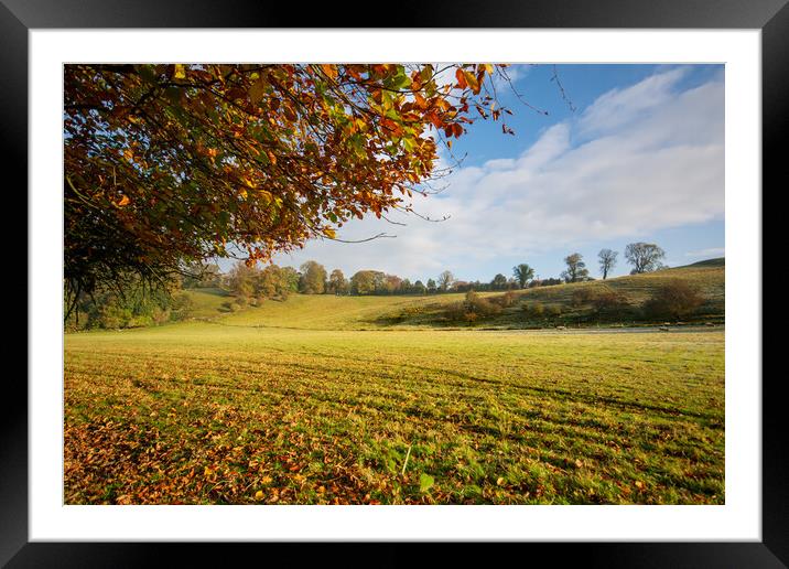 Easby Autumn Framed Mounted Print by Steve Smith