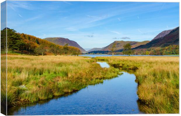 Buttermere Views Canvas Print by Steve Smith
