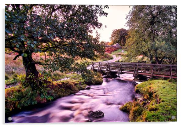 Padley Gorge Peak District Acrylic by Tim Hill