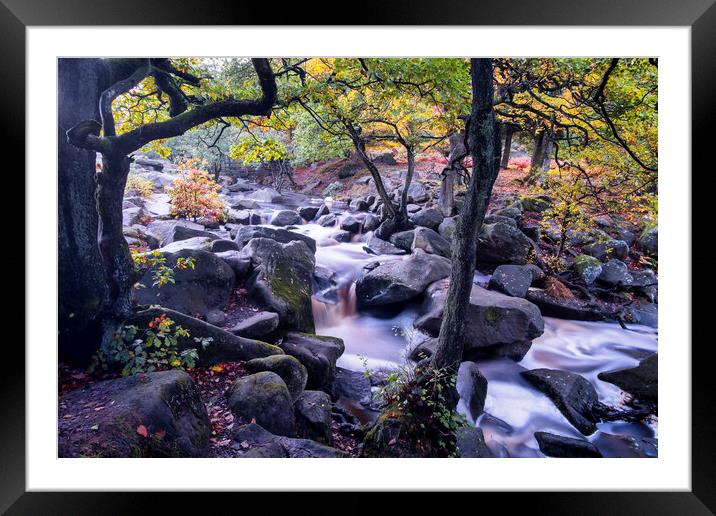 Autumn at Padley Gorge Framed Mounted Print by Tim Hill