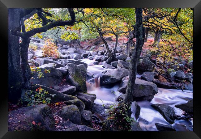 Autumn at Padley Gorge Framed Print by Tim Hill