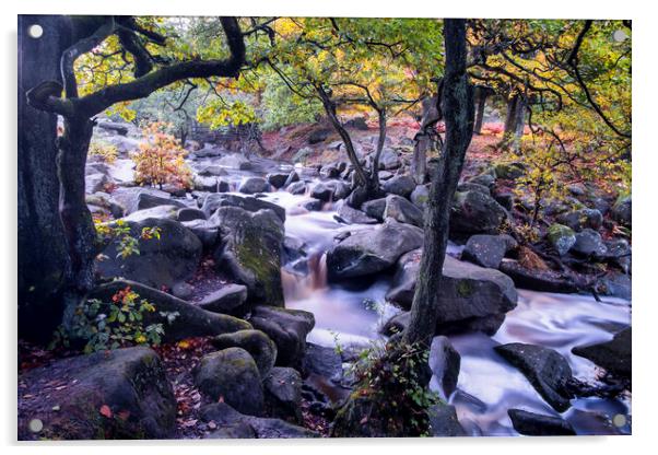 Autumn at Padley Gorge Acrylic by Tim Hill