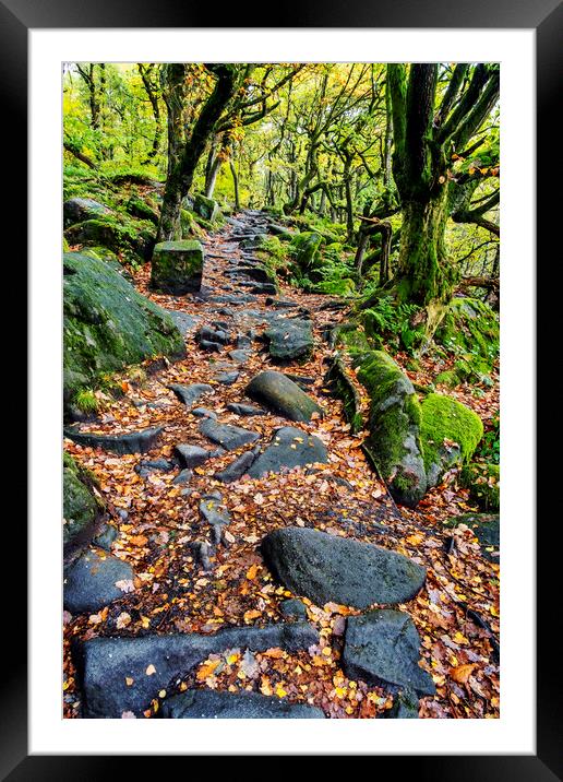 Spectacular Autumn Colors at Padley Gorge Framed Mounted Print by Tim Hill