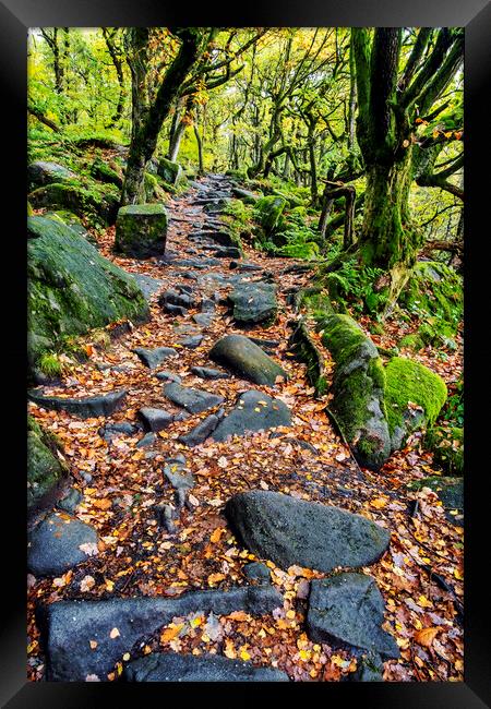 Spectacular Autumn Colors at Padley Gorge Framed Print by Tim Hill