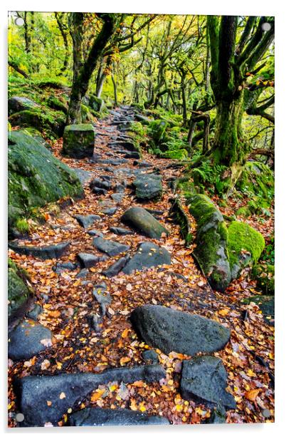 Spectacular Autumn Colors at Padley Gorge Acrylic by Tim Hill