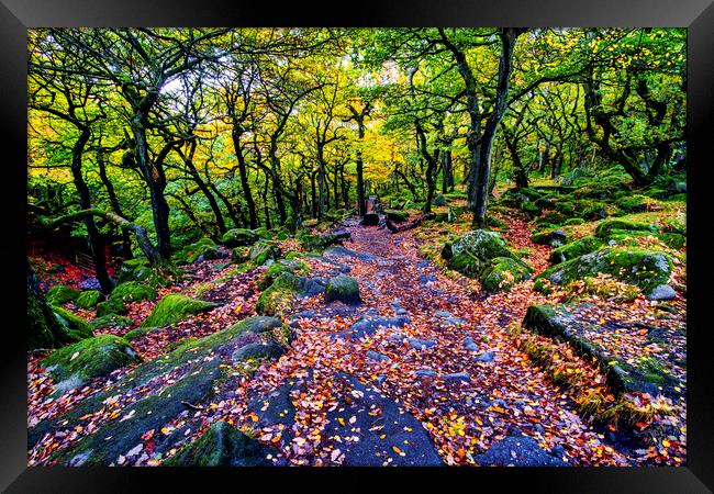 Padley Gorge in Autumn Framed Print by Tim Hill