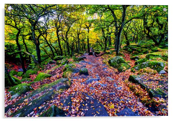 Padley Gorge in Autumn Acrylic by Tim Hill
