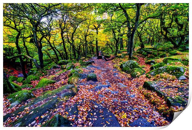 Padley Gorge in Autumn Print by Tim Hill