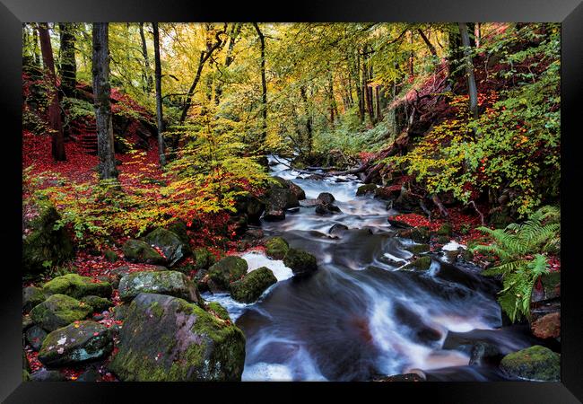 Vibrant Autumn Wonderland Framed Print by Tim Hill