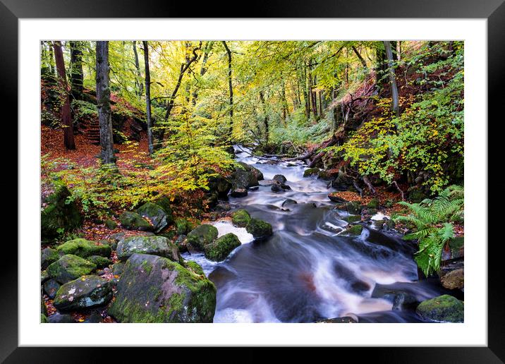Padley Gorge In Autumn Framed Mounted Print by Tim Hill