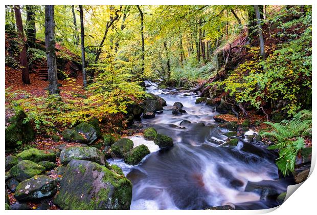Padley Gorge In Autumn Print by Tim Hill