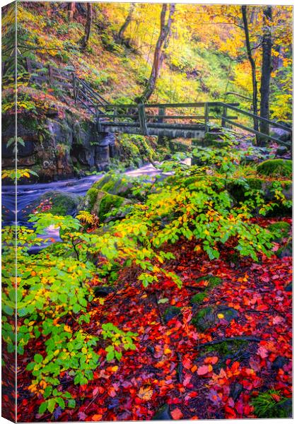 Padley Gorge Beautiful Autumn Canvas Print by Tim Hill