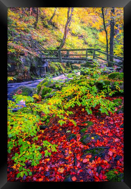Padley Gorge Beautiful Autumn Framed Print by Tim Hill