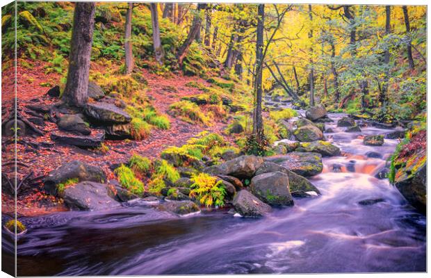 Enchanting Autumn Walk in Padley Gorge Canvas Print by Tim Hill