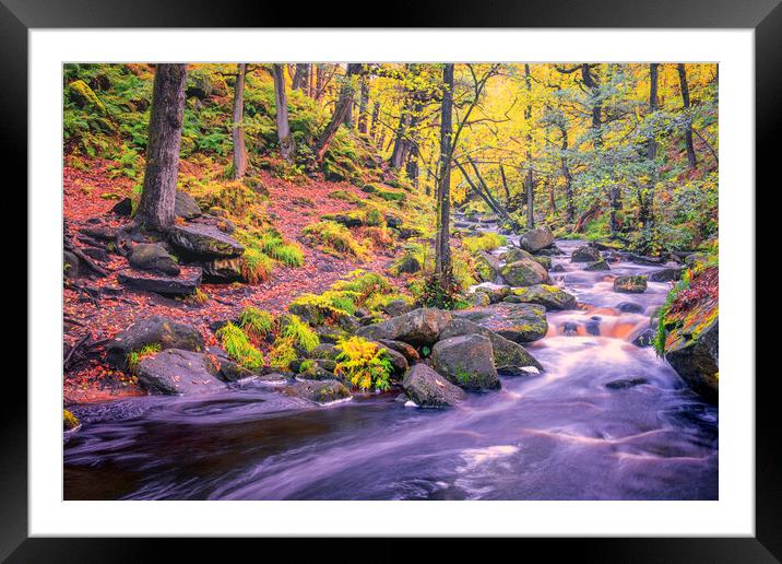 Enchanting Autumn Walk in Padley Gorge Framed Mounted Print by Tim Hill