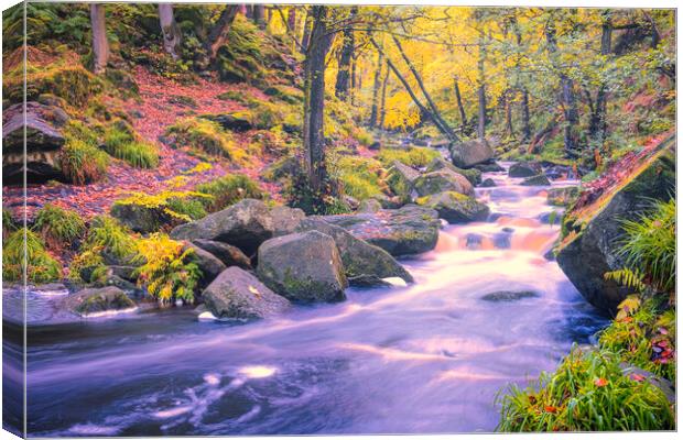 Enchanting Autumn Scene in Padley Gorge Canvas Print by Tim Hill