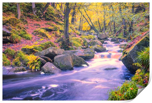 Enchanting Autumn Scene in Padley Gorge Print by Tim Hill