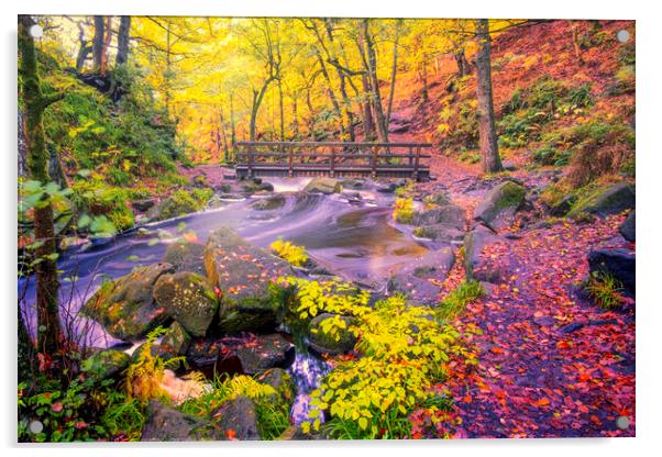 Burbage Brook Padley Gorge Acrylic by Tim Hill