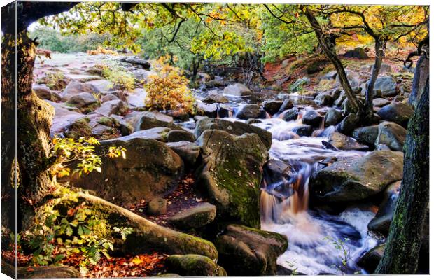 Burbage Brook Padley Gorge Canvas Print by Tim Hill