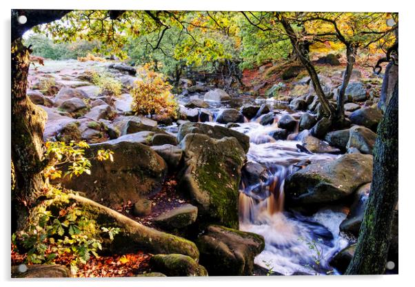 Burbage Brook Padley Gorge Acrylic by Tim Hill
