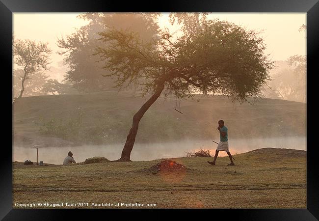 Morning Walker Framed Print by Bhagwat Tavri