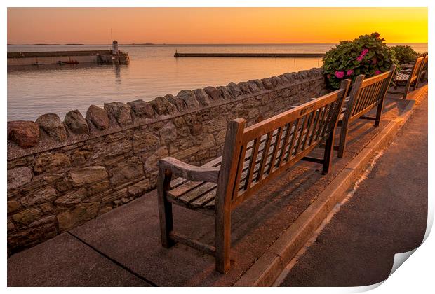 Benches at Seahouses looking towards the Farnes Print by Tim Hill