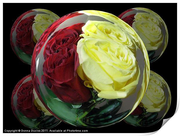 Rose Globes Print by Donna Duclos
