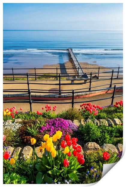 Spring Tulips at Saltburn by the sea Print by Tim Hill