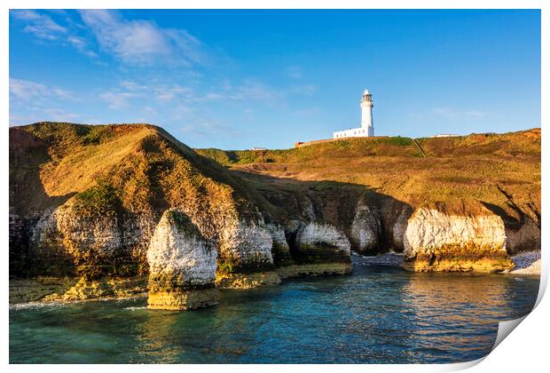 Flamborough sea stack and Lighthouse Print by Tim Hill