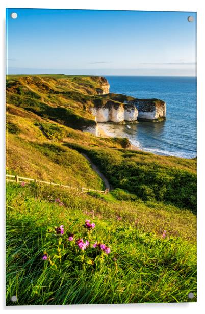 Flamborough Head Acrylic by Tim Hill