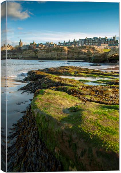 St Andrews Canvas Print by Steve Smith