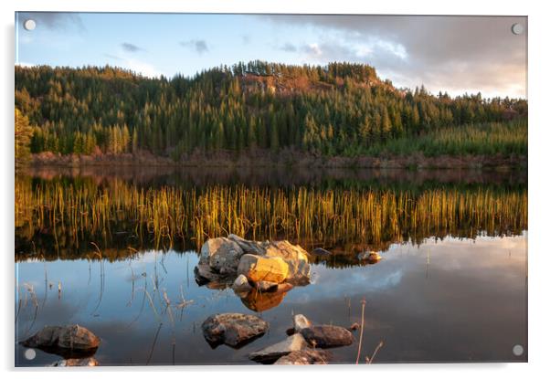 Loch Lundie Acrylic by Steve Smith