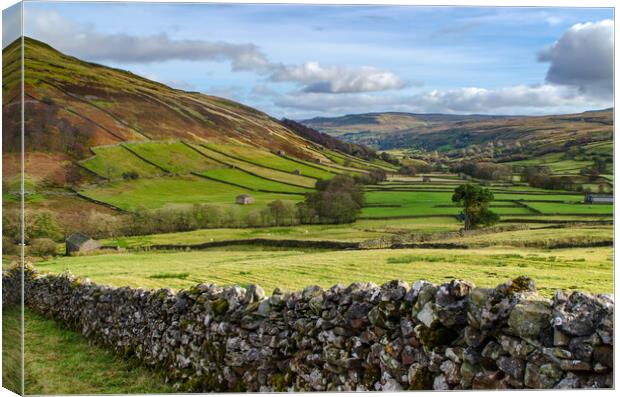 Swaledale At It's Best Canvas Print by Steve Smith