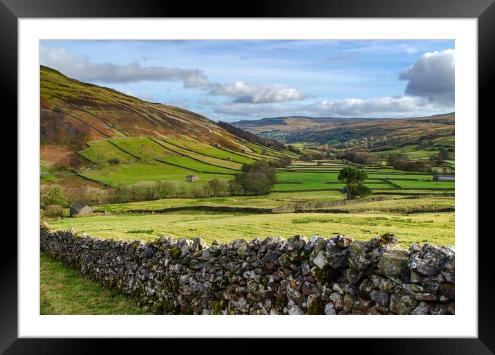 Swaledale At It's Best Framed Mounted Print by Steve Smith