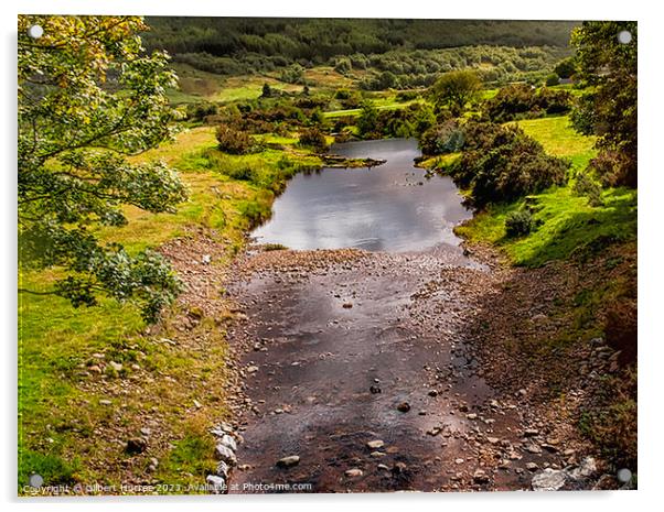 Captivating Highland Serenity: Scotland's River Acrylic by Gilbert Hurree