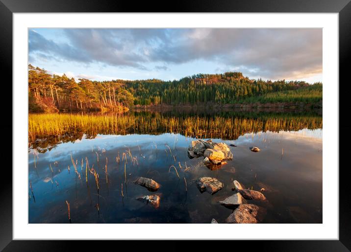 Loch Lundie Framed Mounted Print by Steve Smith