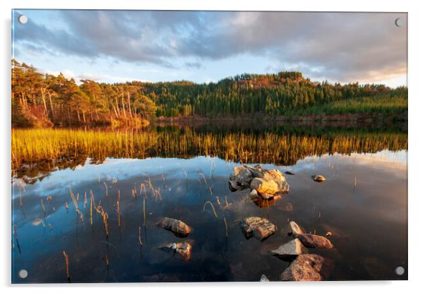 Loch Lundie Acrylic by Steve Smith