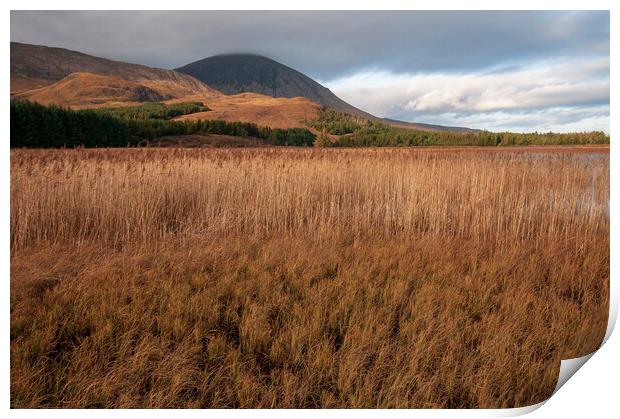 Mystical Beauty of The Hairy Loch Print by Steve Smith