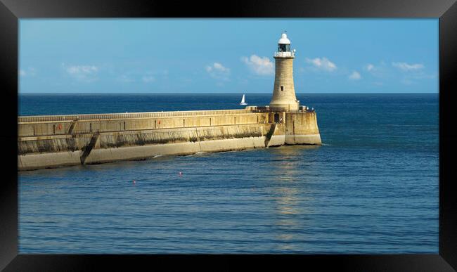 North Pier Lighthouse Tynemouth Framed Print by Anthony McGeever