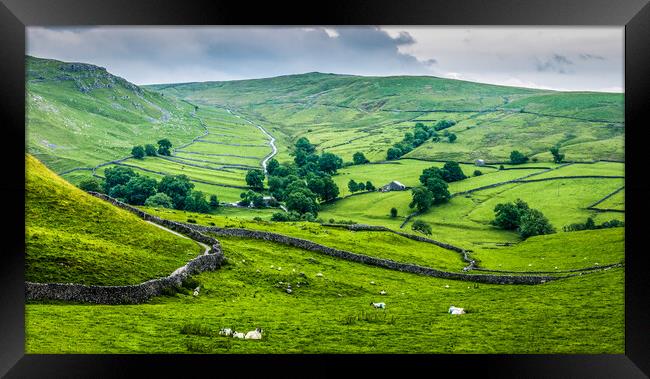 Dry Stone Walls Yorkshire Dales Framed Print by Tim Hill