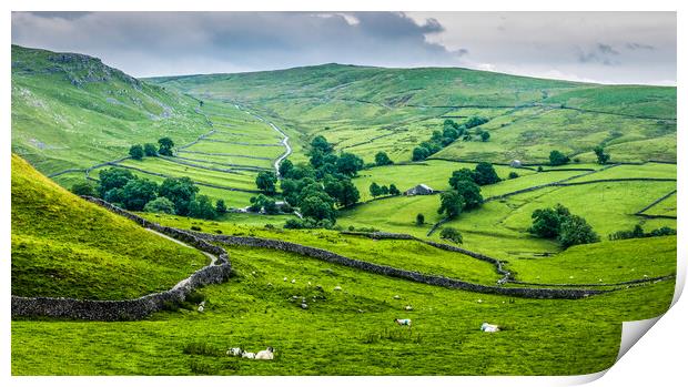 Dry Stone Walls Yorkshire Dales Print by Tim Hill