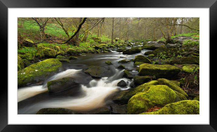 Hebden Beck Near Hardcastle Crags Framed Mounted Print by Tim Hill