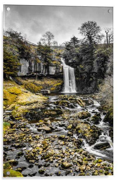  Thornton Force Waterfall Ingleton Acrylic by Tim Hill
